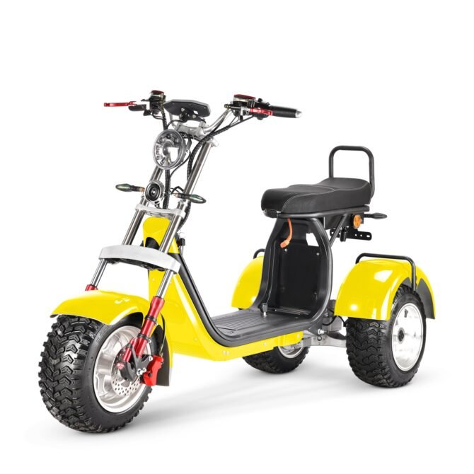 Citycoco 3 roues CP-7.0 4000w 20ah/40ah autonomie de 45/95 kms homologué route