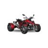 Quad homologué SPY Racing 350cc